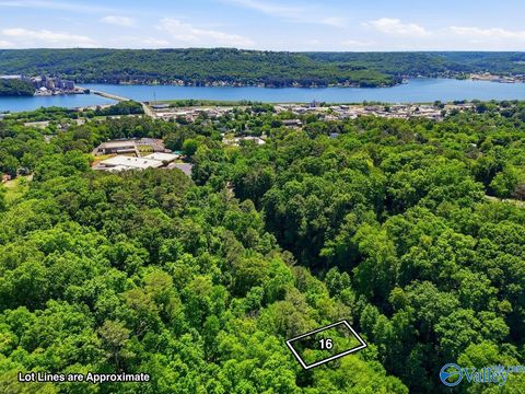Vacant Land For Sale - LOT 16 Lusk Street<br/> Guntersville, AL 35976