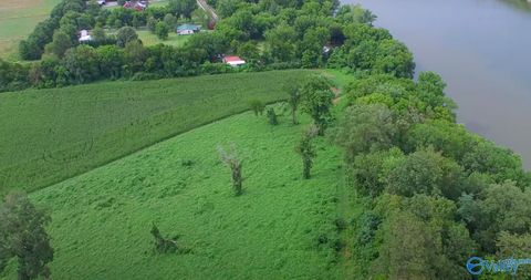 Vacant Land For Sale - 1193 Mccutcheon Loop Road<br/> Laceys Spring, AL 35754