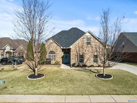 Photo of 25749 Fieldstone Drive, Madison, AL 35756 (MLS # 21909469)
