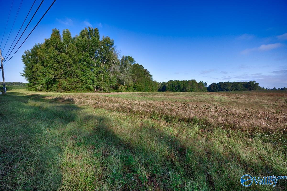 20Acres Manley Road, Hazel Green, Alabama image 14