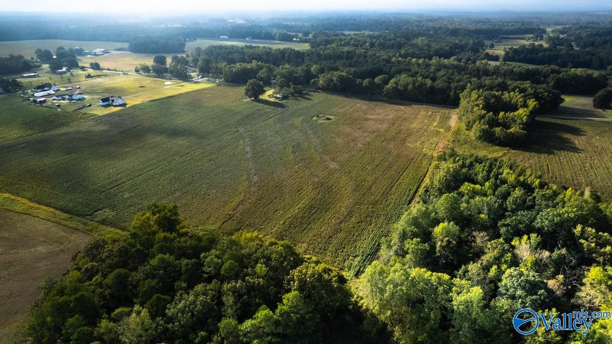 20Acres Manley Road, Hazel Green, Alabama image 8