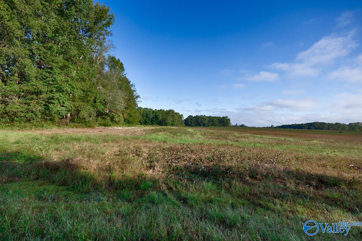 20Acres Manley Road, Hazel Green, Alabama image 13