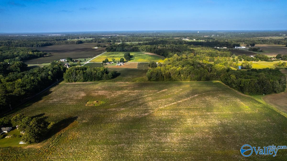 20Acres Manley Road, Hazel Green, Alabama image 11