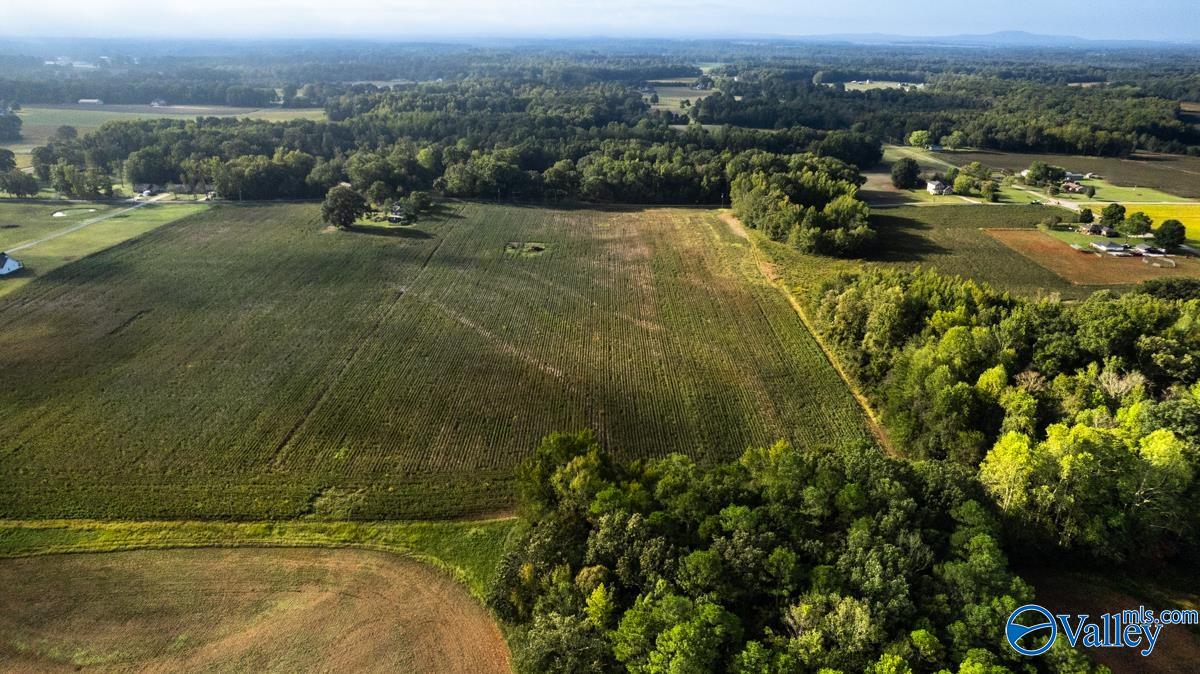 20Acres Manley Road, Hazel Green, Alabama image 9