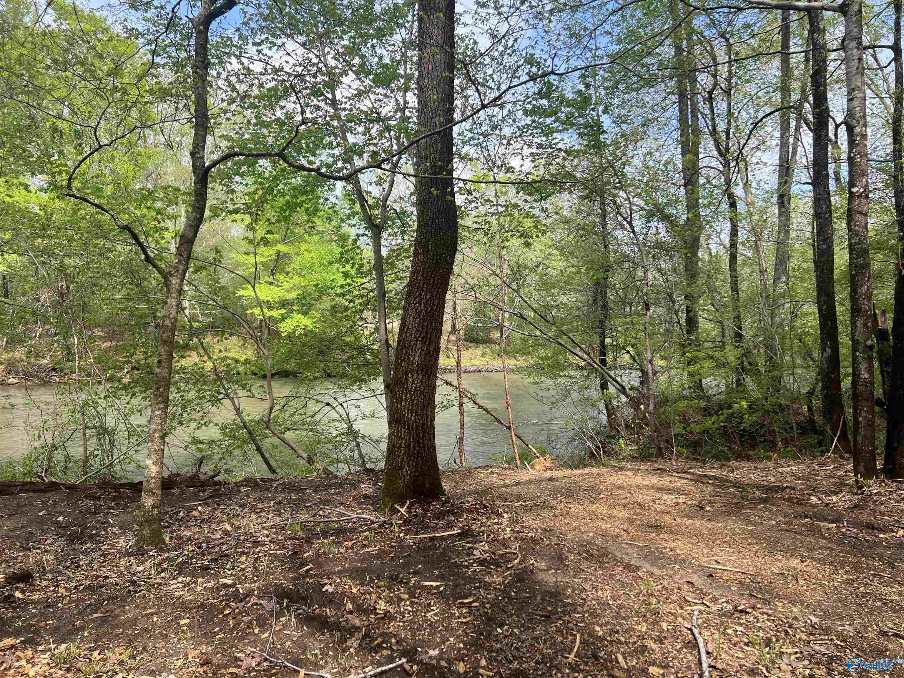 Lot 10 County Road 137, Cedar Bluff, Alabama image 5