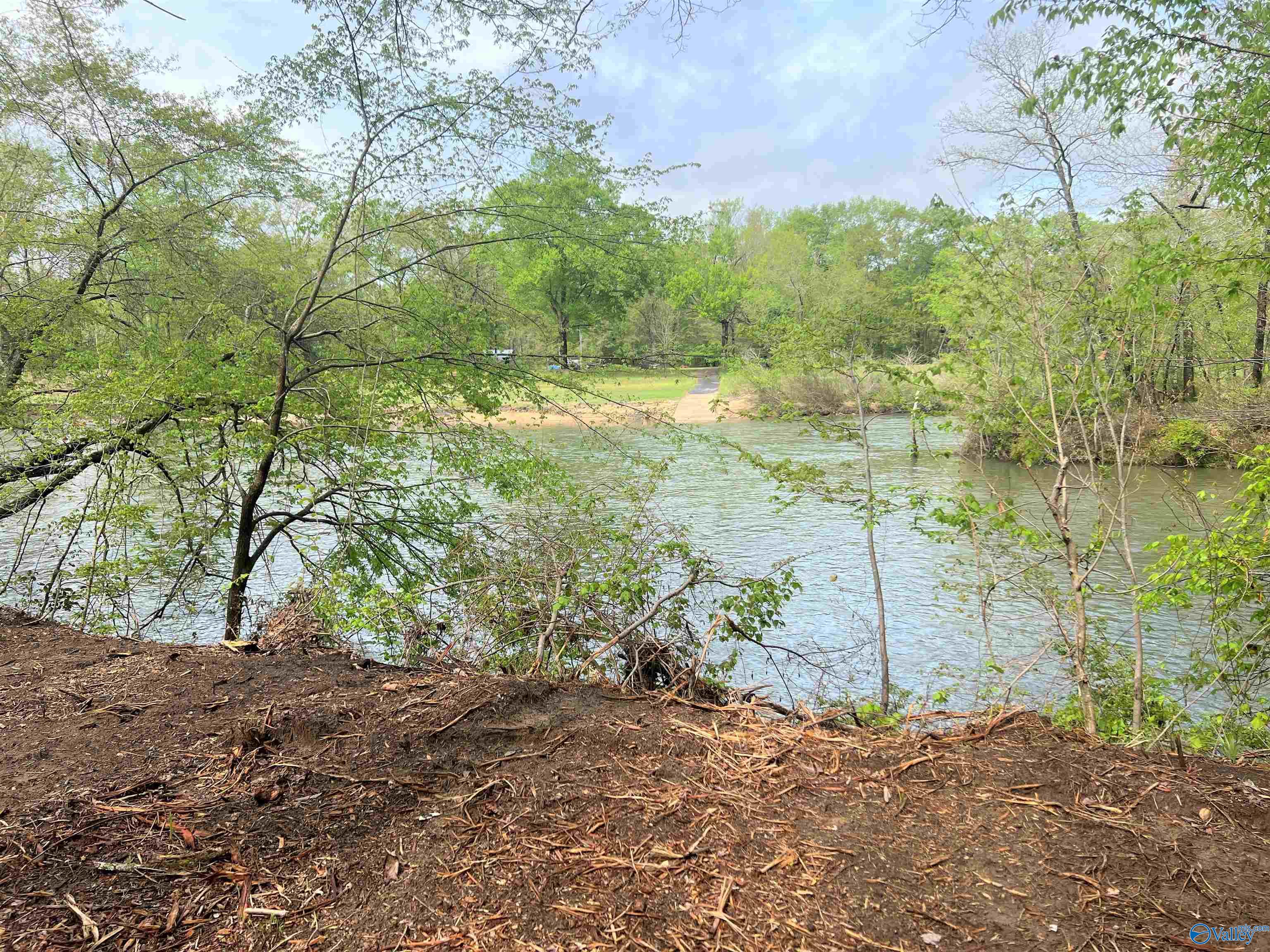 Lot 10 County Road 137, Cedar Bluff, Alabama image 7