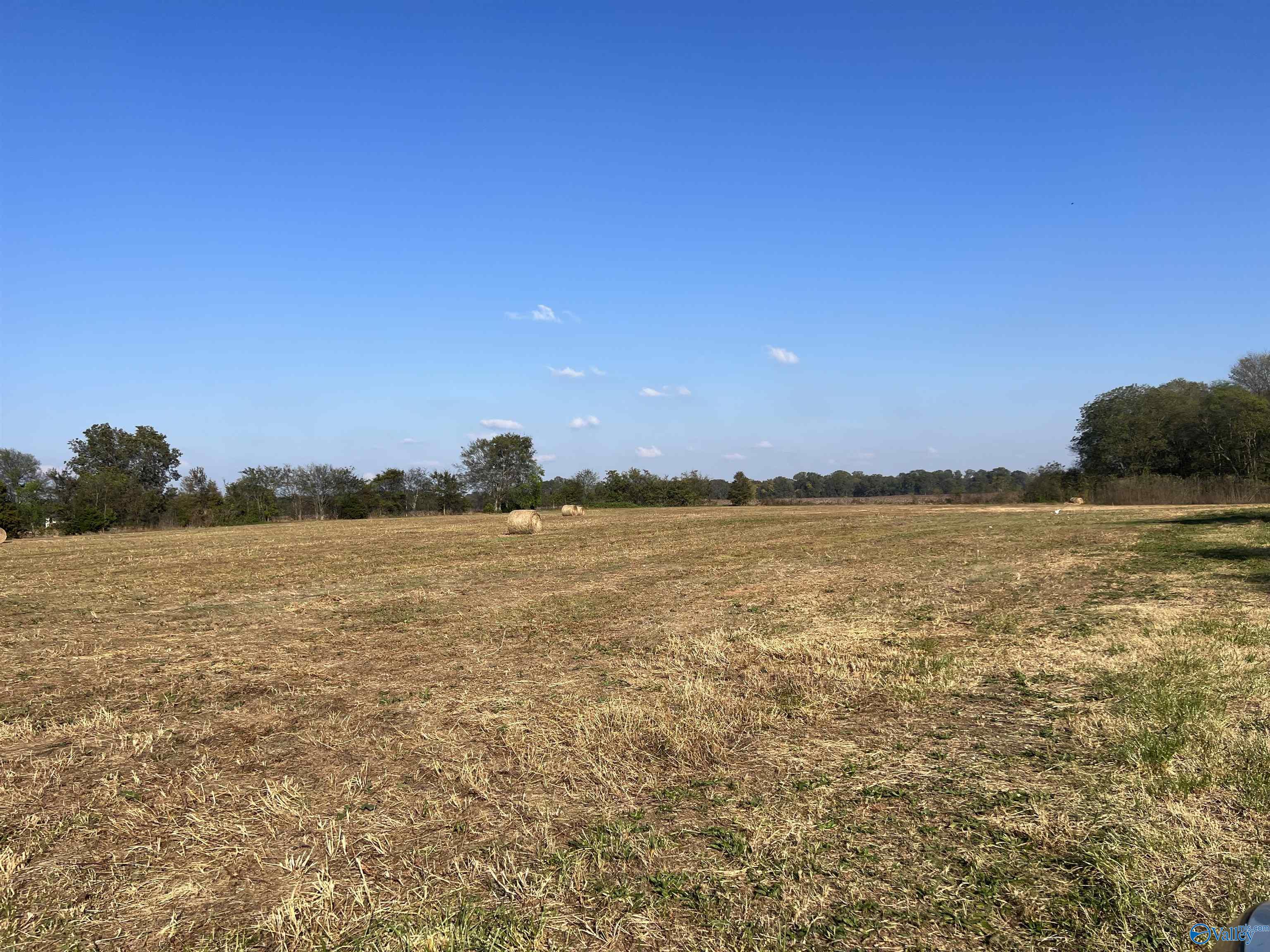 10.35 Acres Marthaler Lane, Leighton, Alabama image 1