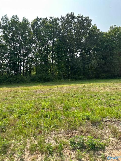 Vacant Land For Sale - TRACT 44 Hays Mill Road<br/> Elkmont, AL 35620