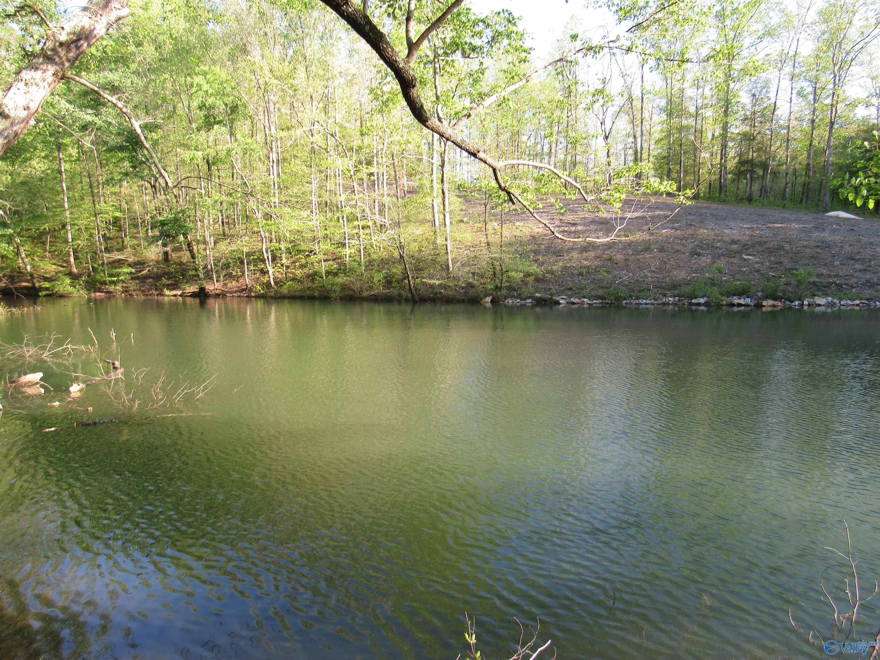 703 Legendary Parkway, Arley, Alabama image 2
