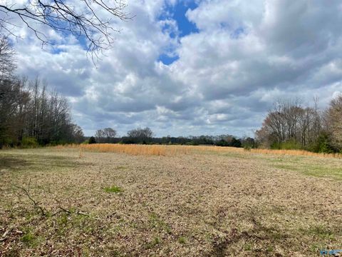 Vacant Land For Sale - 77 ACRES County Road 136<br/> Town Creek, AL 35672