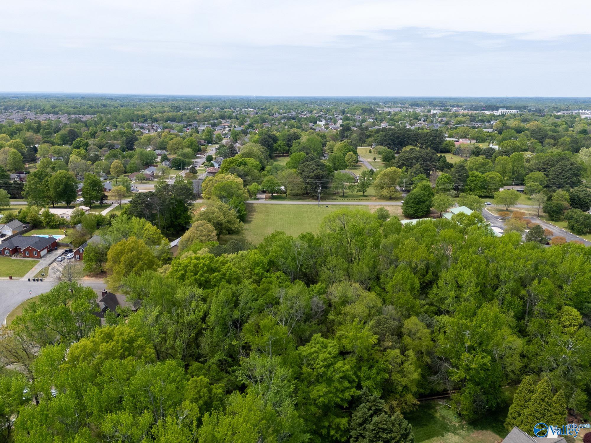 3.03 Acres Wall Triana Hwy, Madison, Alabama image 6