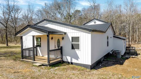 Photo of 10033 County Road 121, Valley Head, AL 35989 (MLS # 21910300)