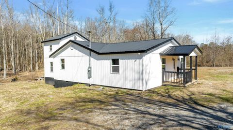 Homes For Sale - 10033 County Road 121<br/> Valley Head, AL 35989