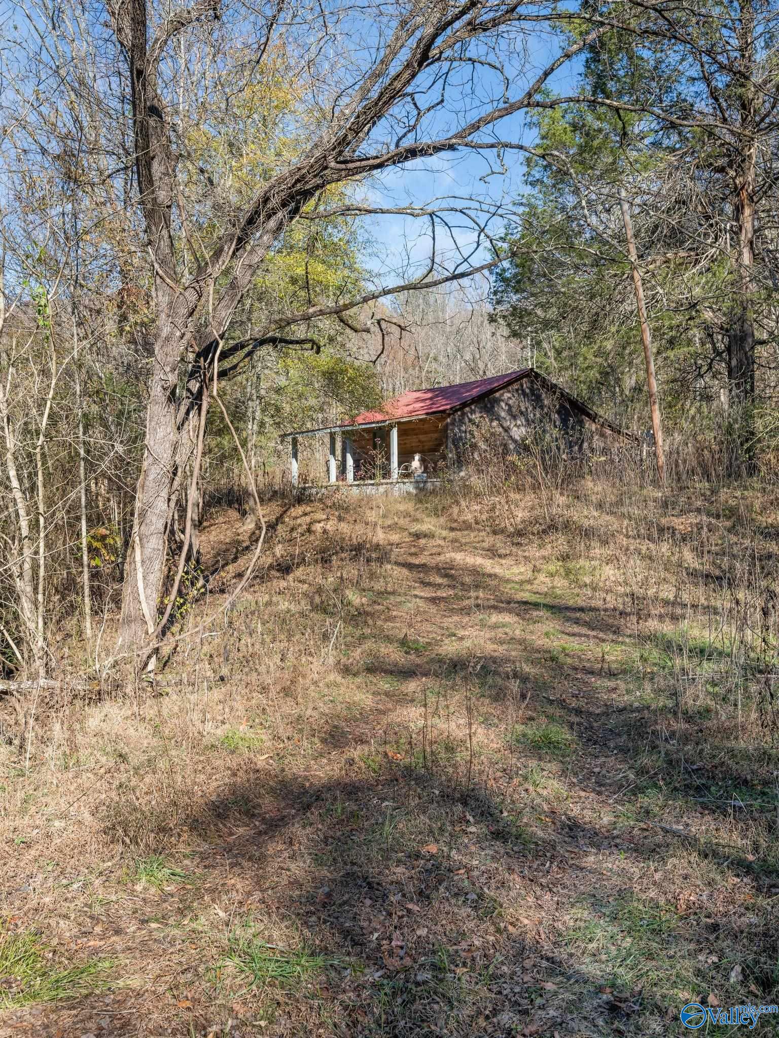 3484 County Road 4, Hollytree, Alabama image 8