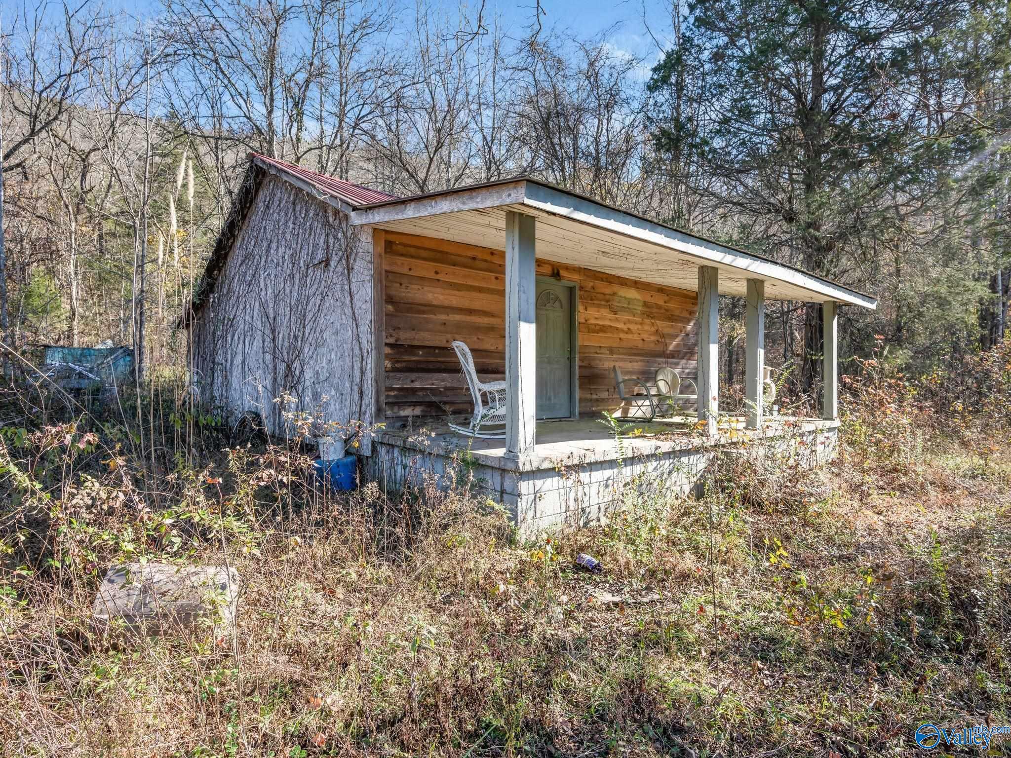 3484 County Road 4, Hollytree, Alabama image 3