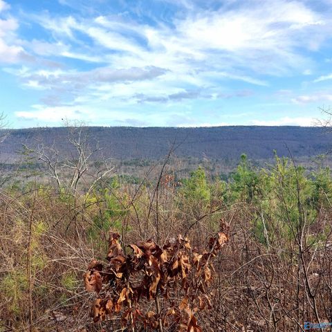 Vacant Land For Sale - 40.21 ACRES County Road 239<br/> Valley Head, AL 35989