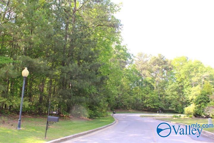 Lots 6 And 7 Lea Christine Circle, Arab, Alabama image 9