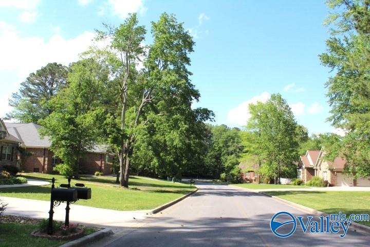 Lots 6 And 7 Lea Christine Circle, Arab, Alabama image 8