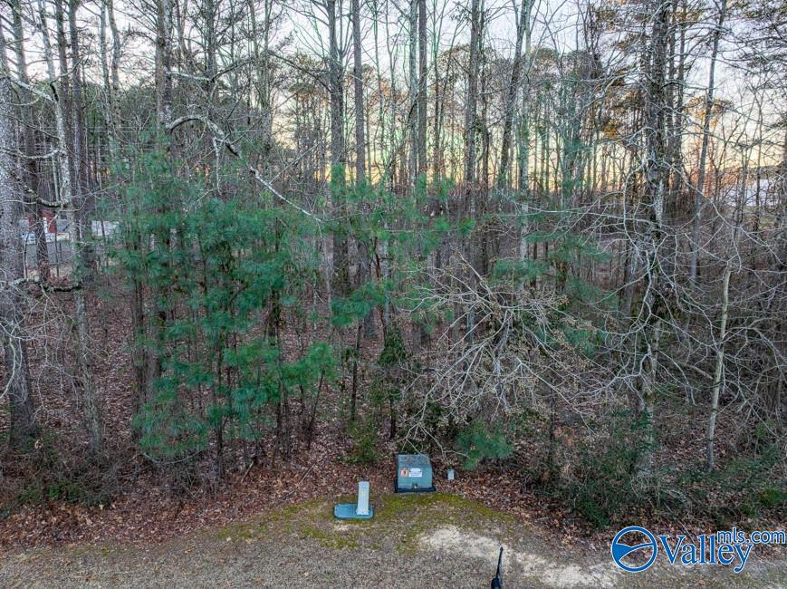 Lots 6 And 7 Lea Christine Circle, Arab, Alabama image 15
