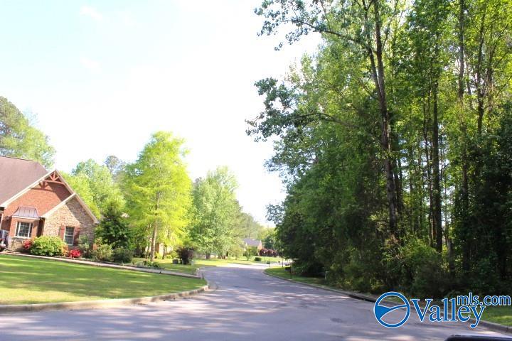 Lots 6 And 7 Lea Christine Circle, Arab, Alabama image 13