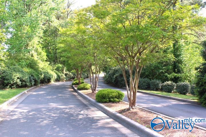 Lots 6 And 7 Lea Christine Circle, Arab, Alabama image 6