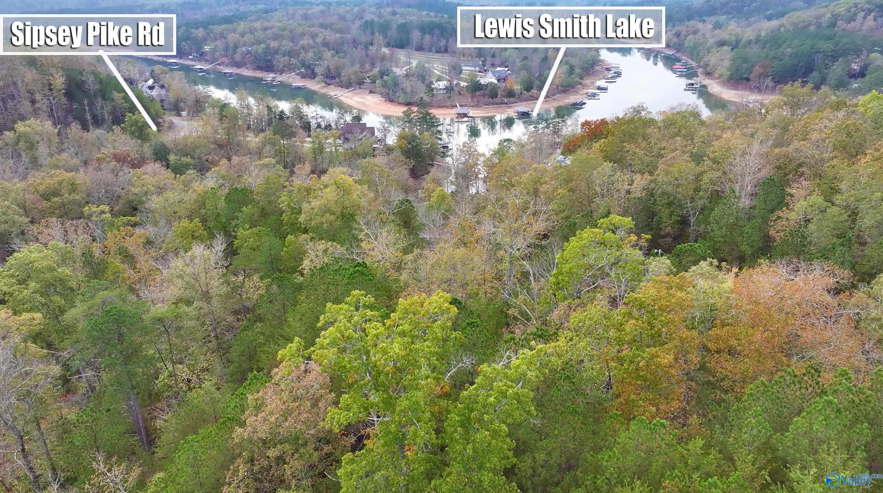 4.6 Lakeview Lane, Double Springs, Alabama image 5