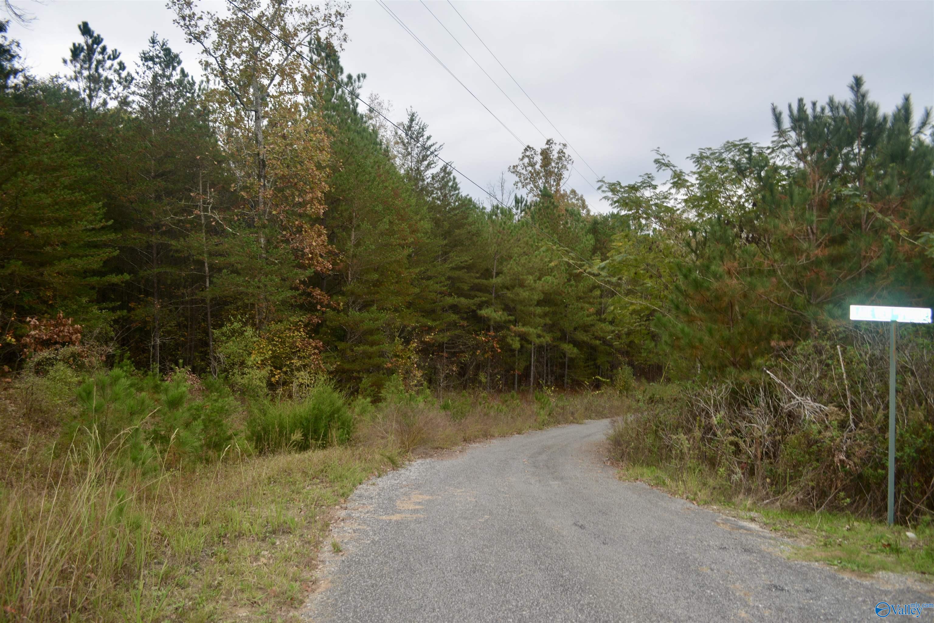 4.6 Lakeview Lane, Double Springs, Alabama image 16