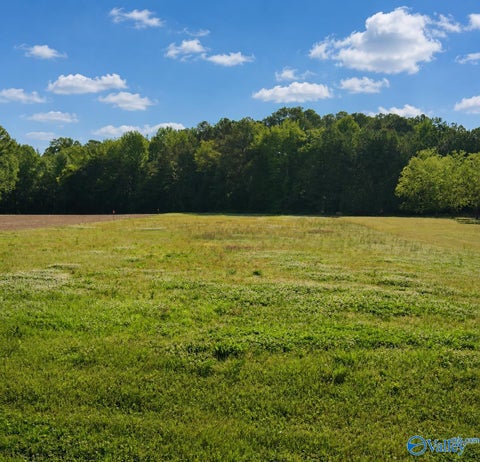 Vacant Land For Sale - 11650 Burgreen Road<br/> Madison, AL 35756