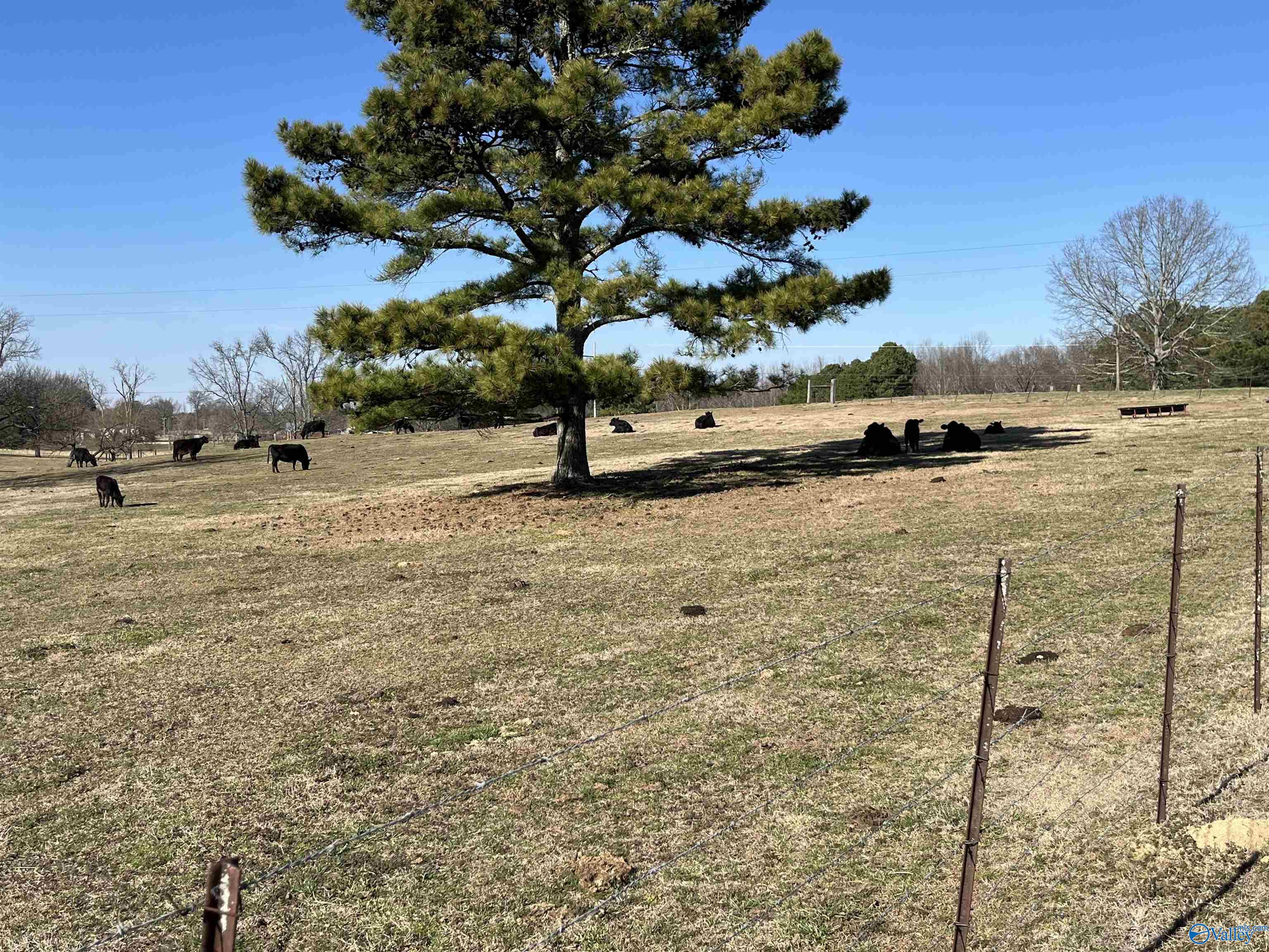 411 Hallmark Road, Boaz, Alabama image 20