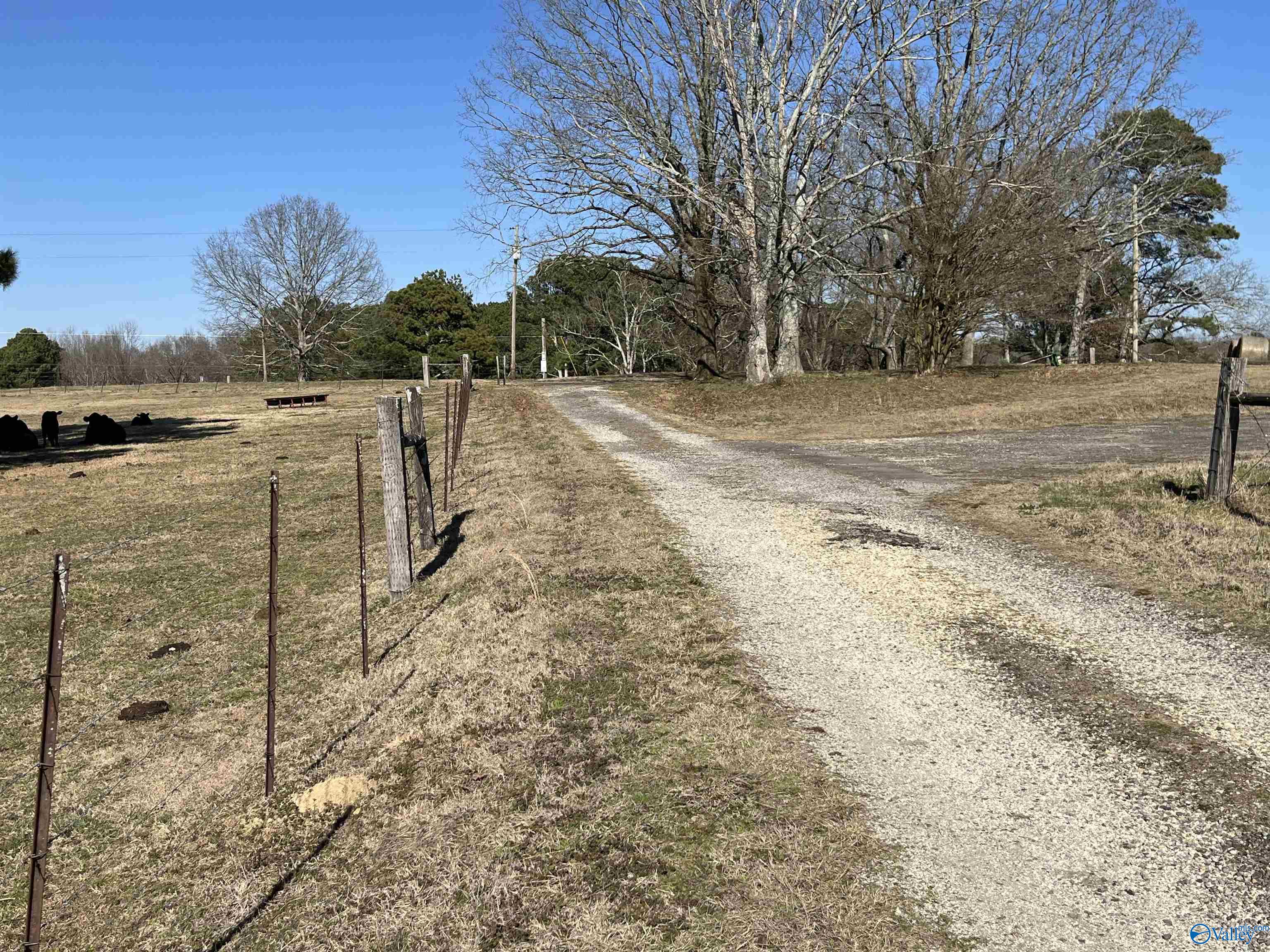411 Hallmark Road, Boaz, Alabama image 21