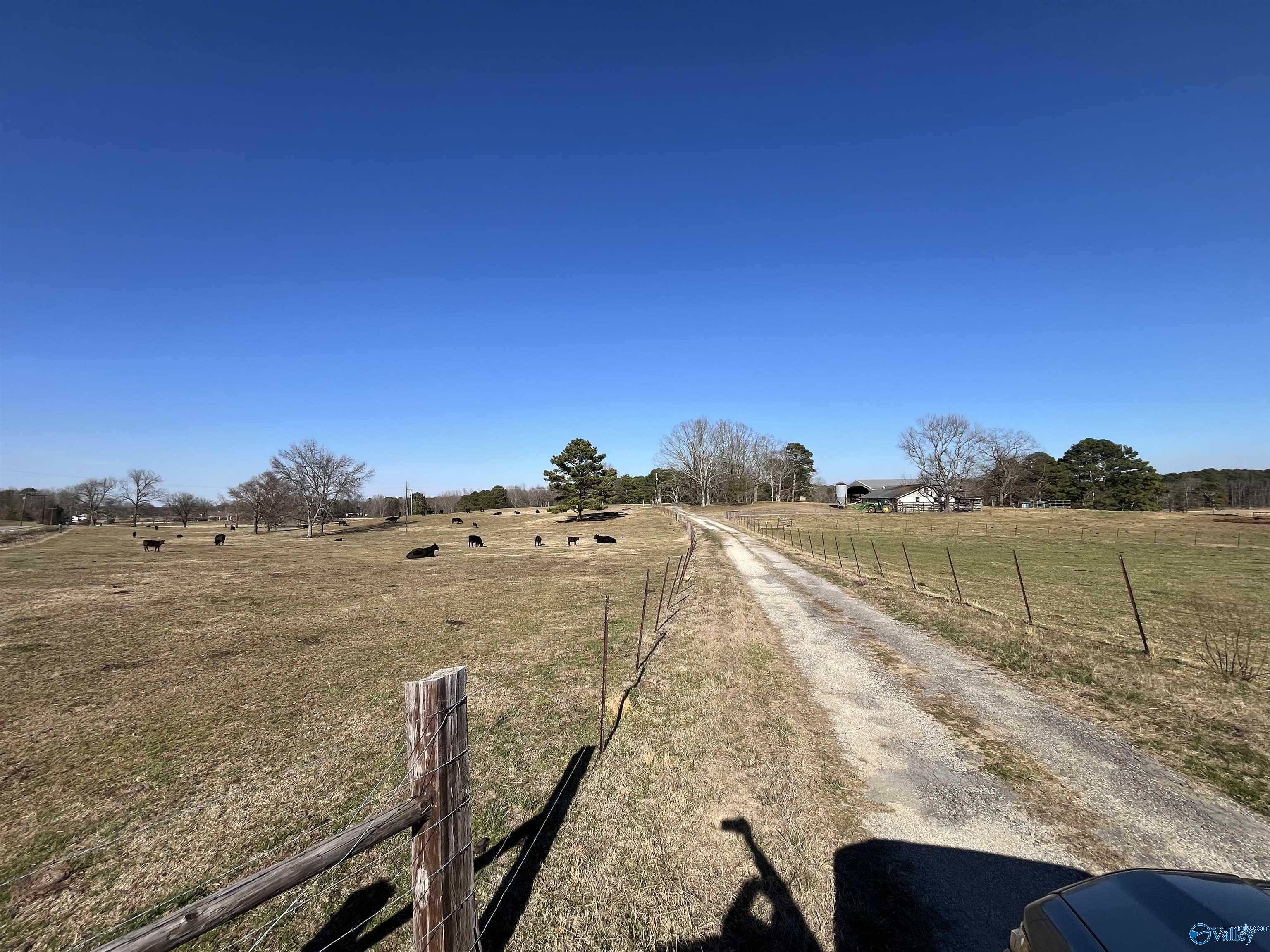 411 Hallmark Road, Boaz, Alabama image 19