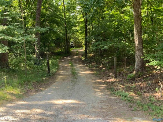 15 COUNTY ROAD 216, WOODVILLE, AL 35776 - Image bf77d24eba226e87c42207fb0402ea2a/2941360143