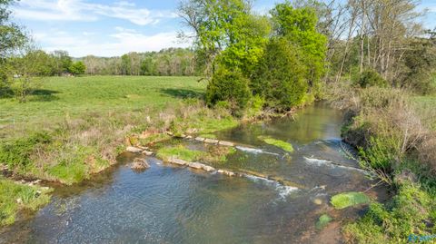 Vacant Land For Sale - 61 ACRES Greenhill Blvd<br/> Fort Payne, AL 35967