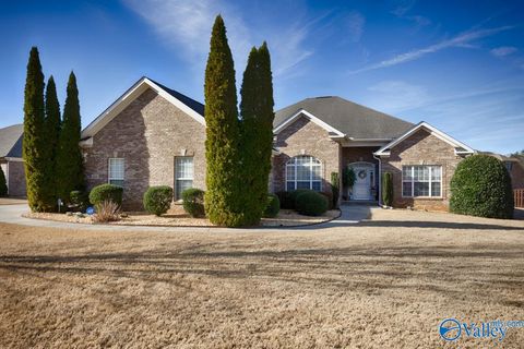 Homes For Sale - 120 Burwell Ridge Trail<br/> Harvest, AL 35749