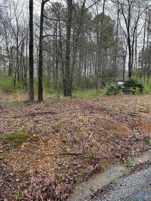Vacant Land For Sale - LOT 10 0.95 AC Dry Creek Road<br/> Cleveland, AL 35049