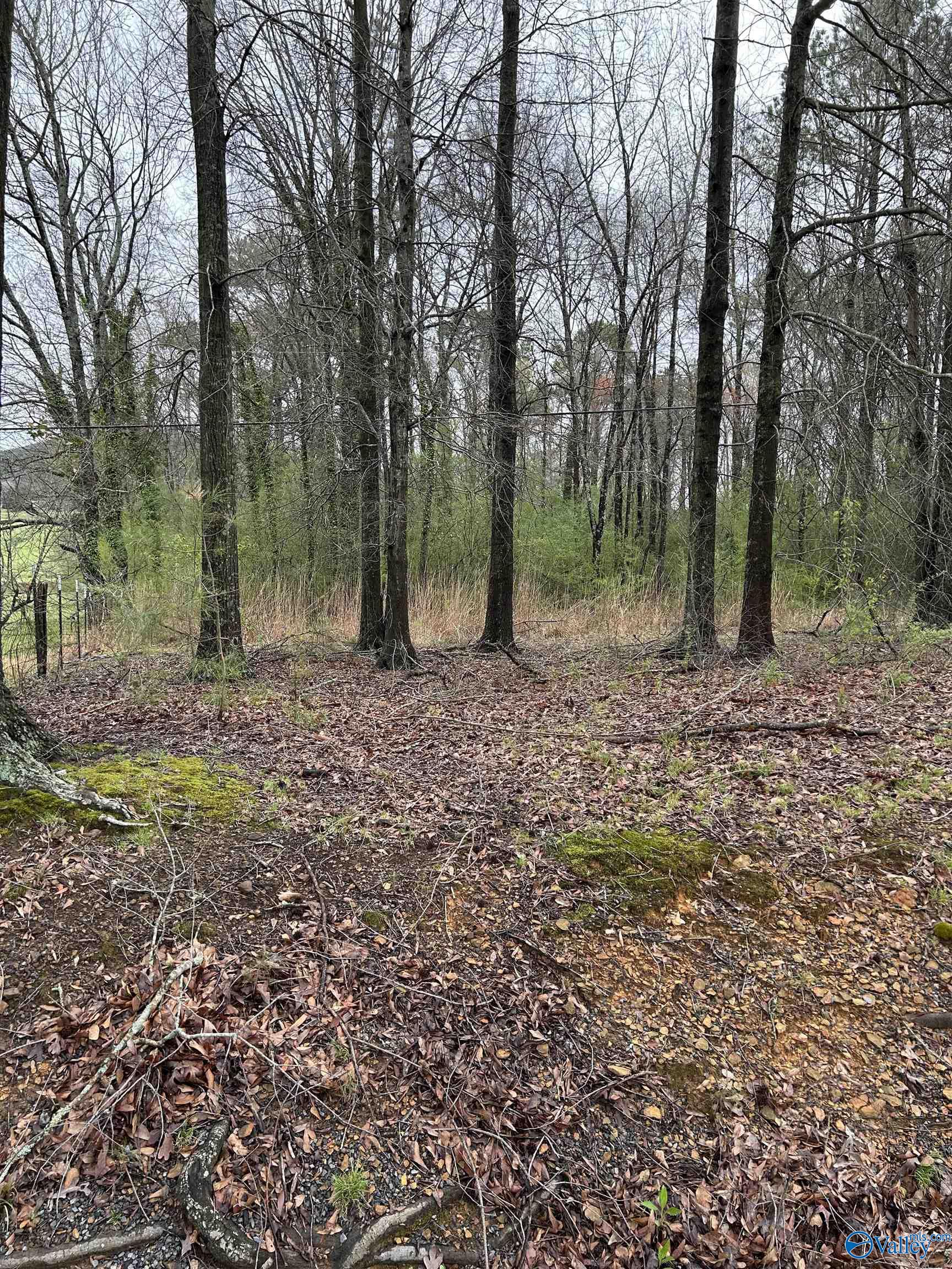 Lot 10 0.95 Ac Dry Creek Road, Cleveland, Alabama image 2