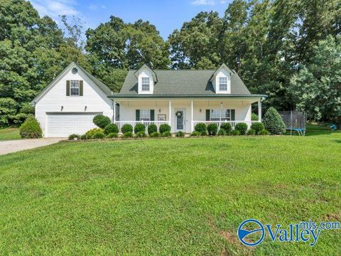 Homes For Sale - 2560 Creek Road<br/> Dekalb County, Fort Payne, AL 35968