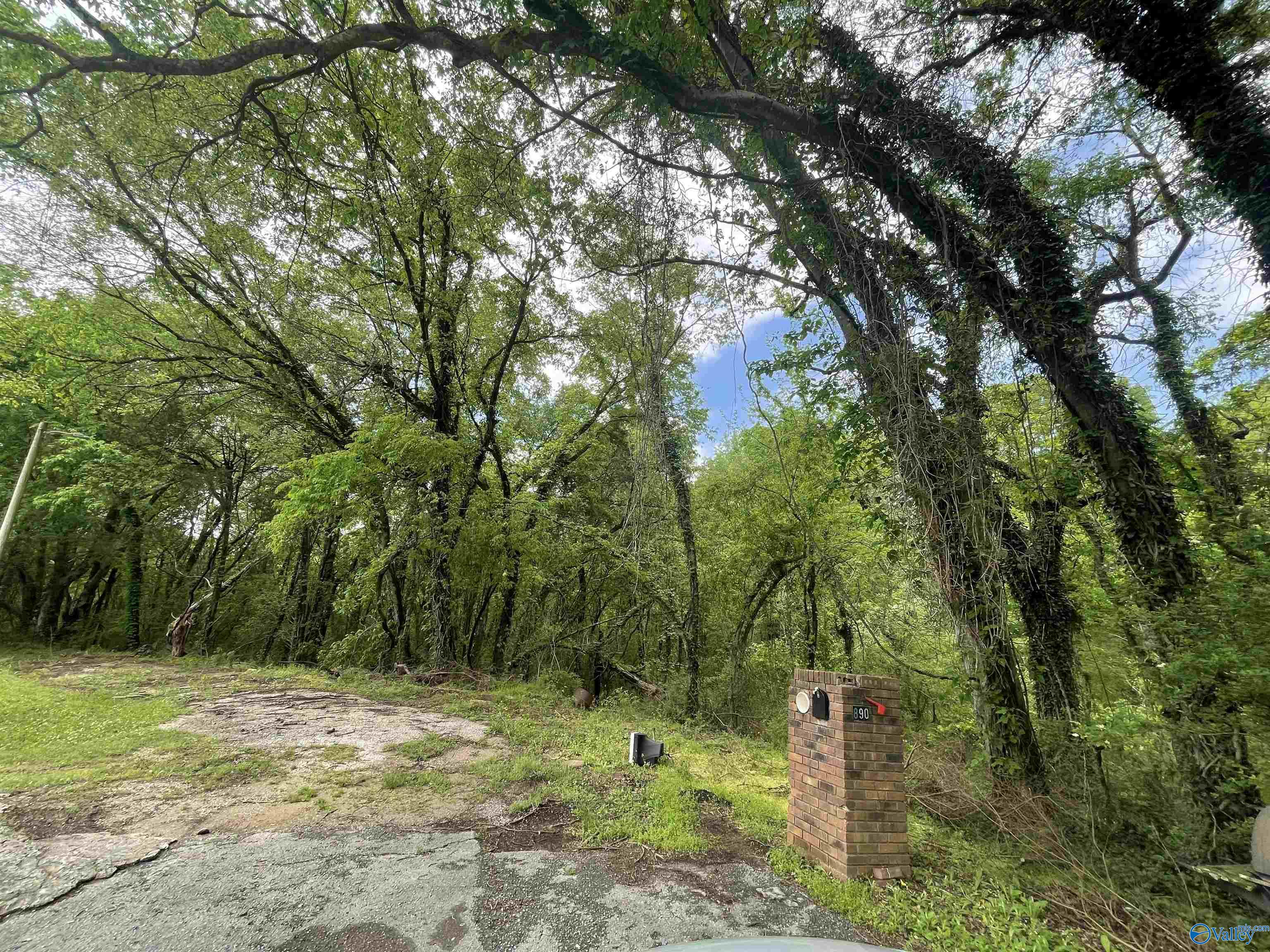 Lot 8 Adams Street, Cherokee, Alabama image 4