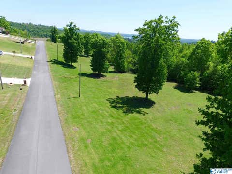 Vacant Land For Sale - 43 Tara Drive<br/> Guntersville, AL 35976