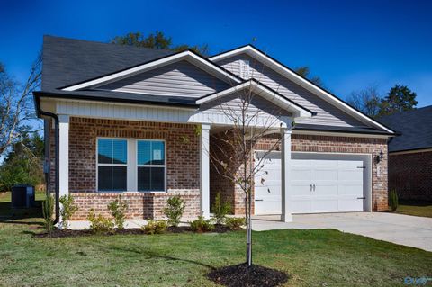 109 Gypsy Way Toney AL 35773