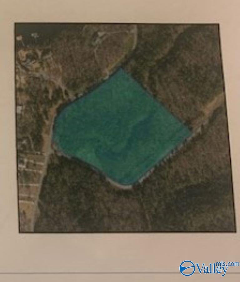 12.5 ACRES Lakeshore, Crane Hill, Alabama image 2