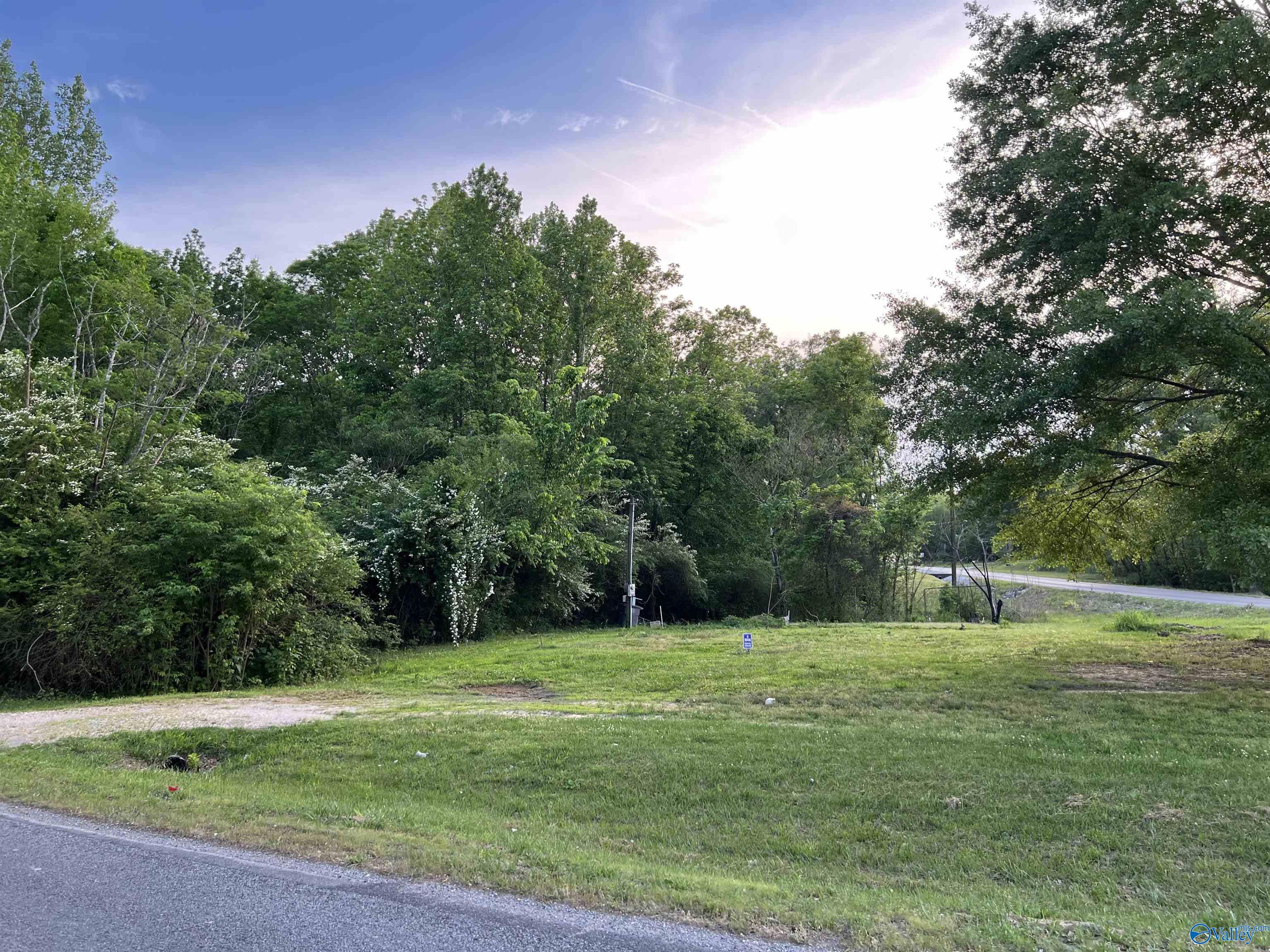 8373 County Road 221, Trinity, Alabama image 2