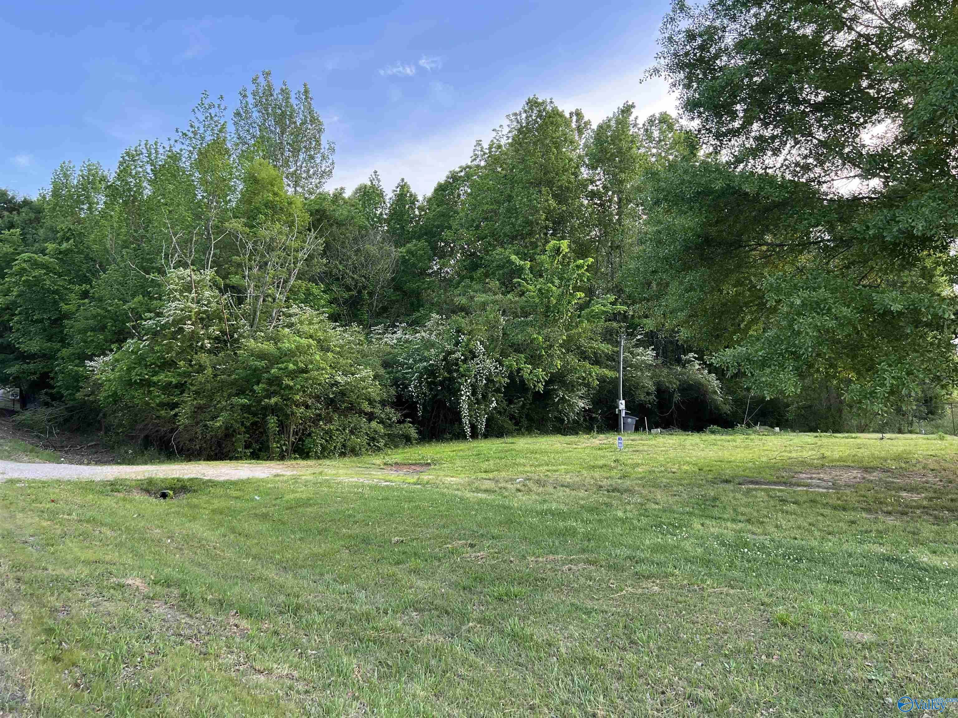 8373 County Road 221, Trinity, Alabama image 3