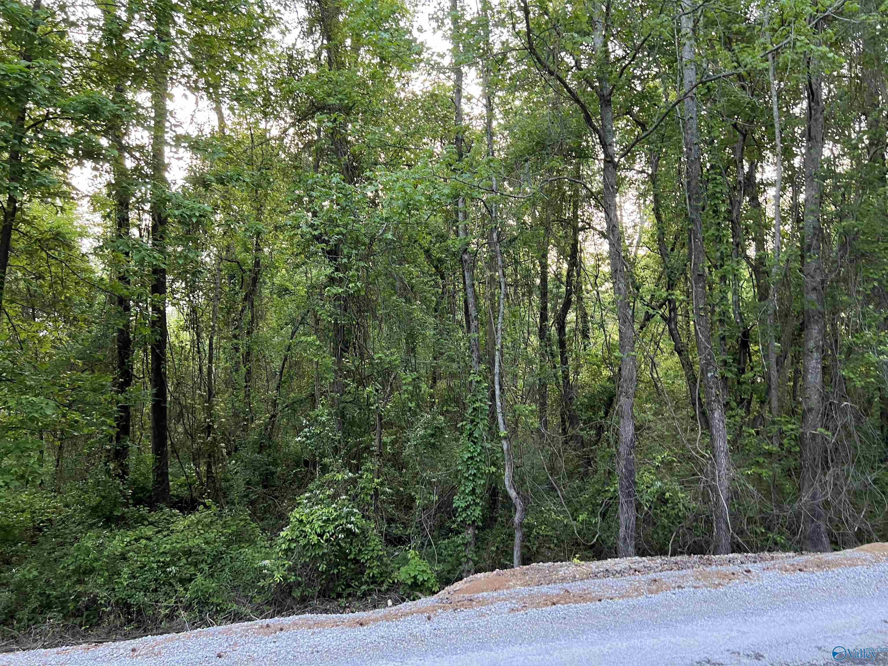 8373 County Road 221, Trinity, Alabama image 7