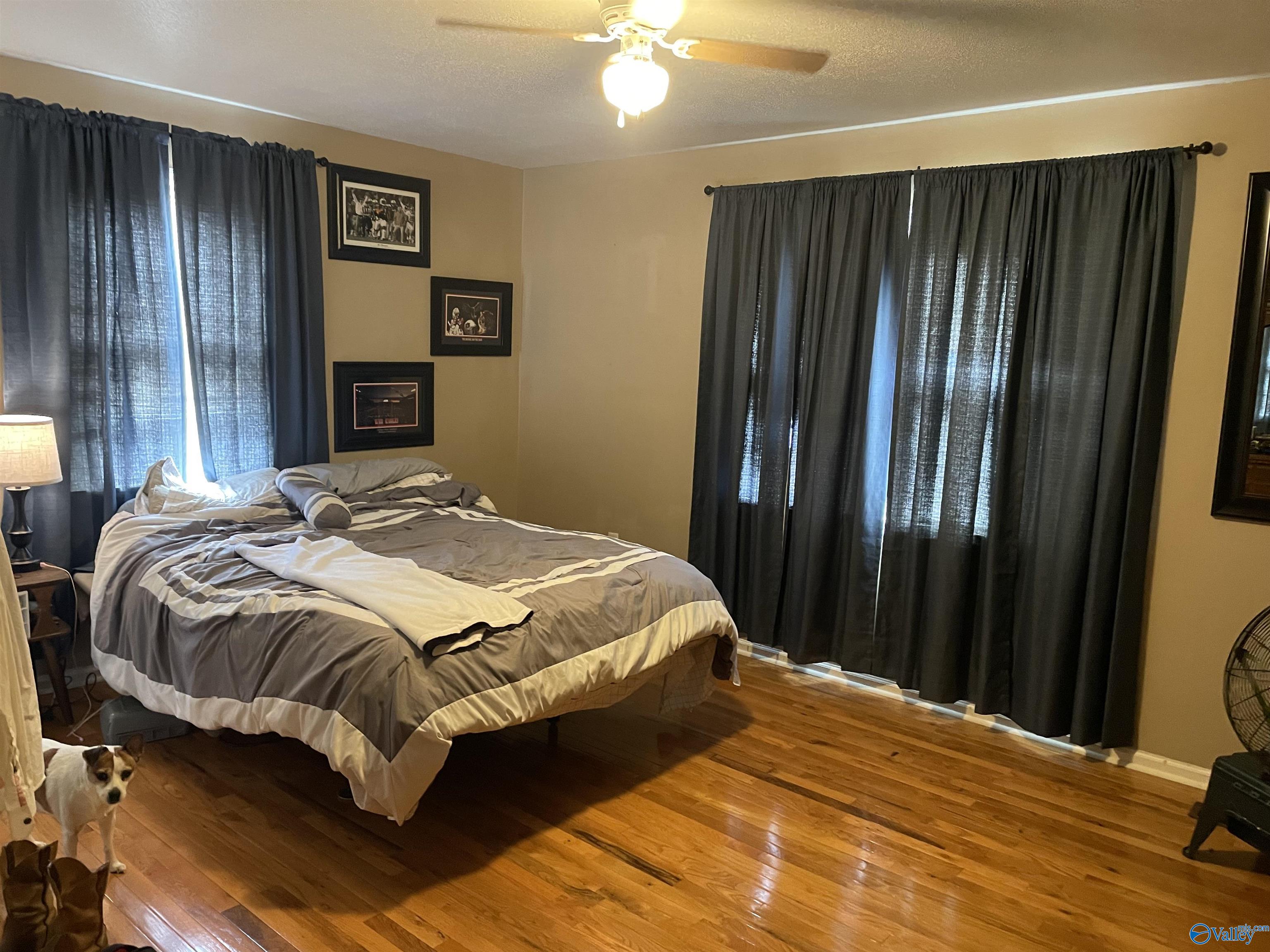 210 Turkey Town Gap Road, Gadsden, Alabama image 9