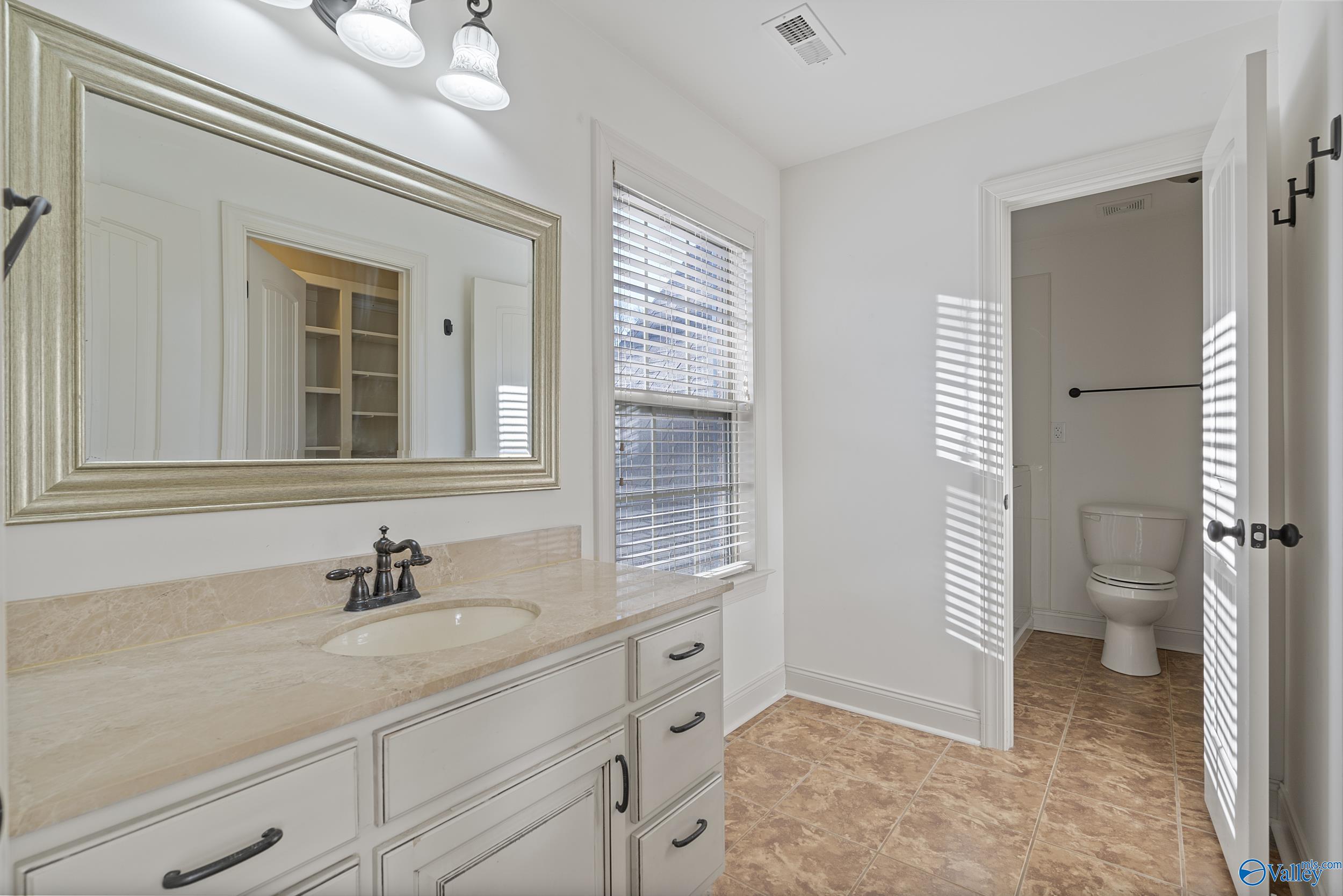 105 Cedar Valley Court, Harvest, Alabama image 31