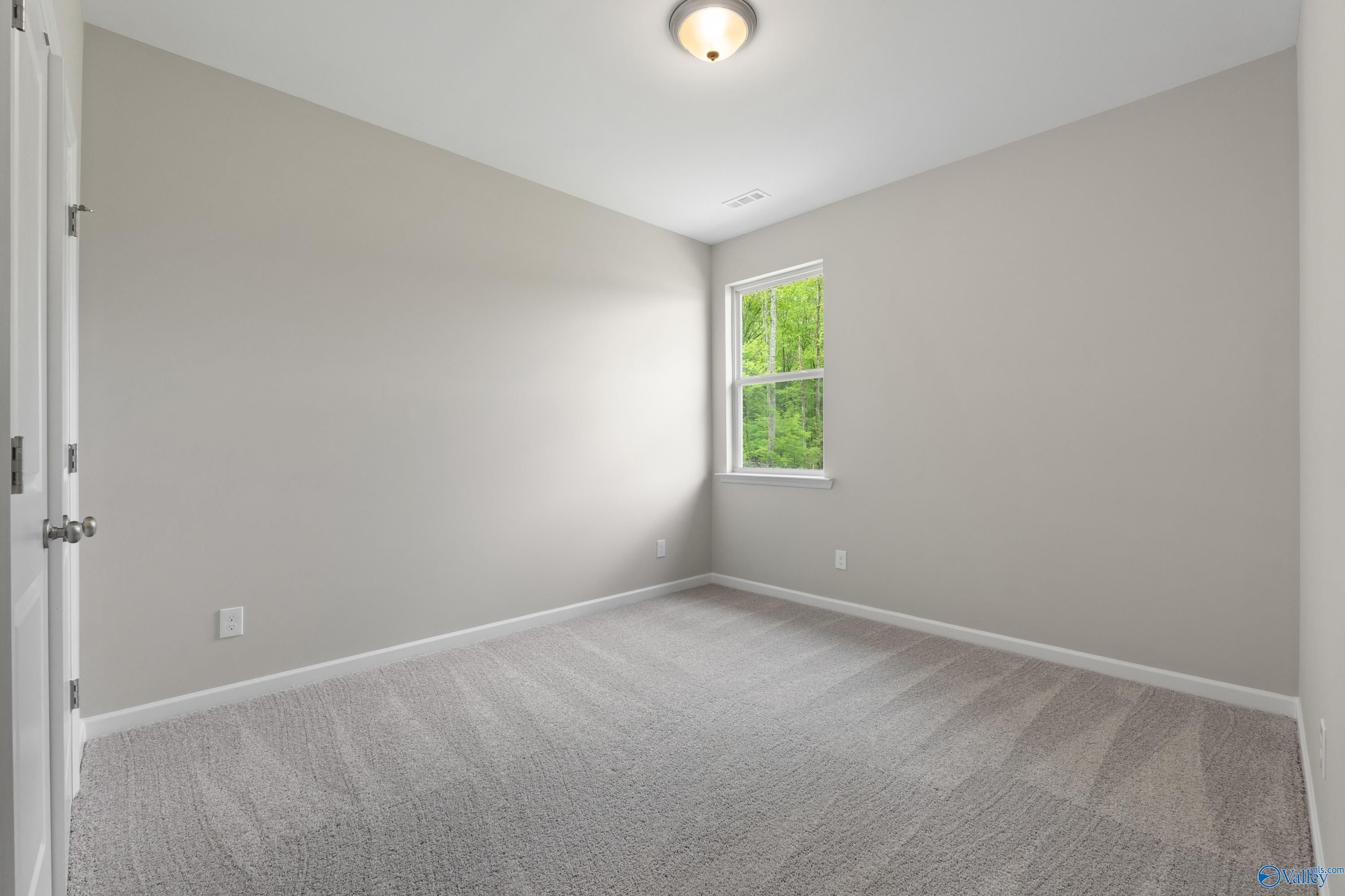 218 Hibiscus Drive, Hazel Green, Alabama image 33