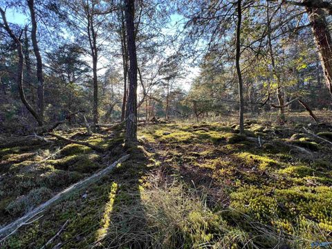 Vacant Land For Sale - 3 AC County Road 52<br/> Cherokee County, Cedar Bluff, AL 35959