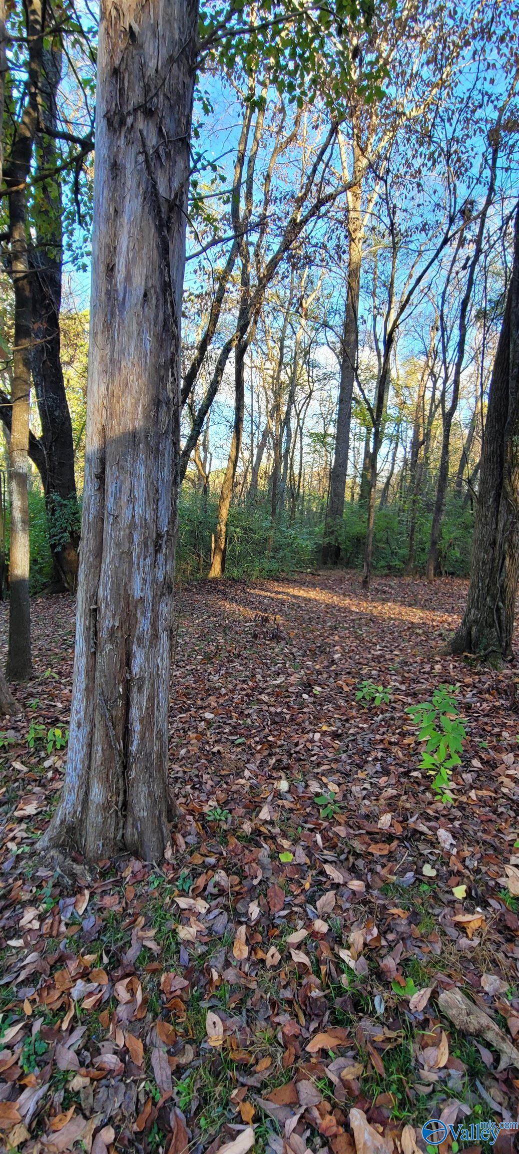 Stewart Stewart Road, Toney, Alabama image 7