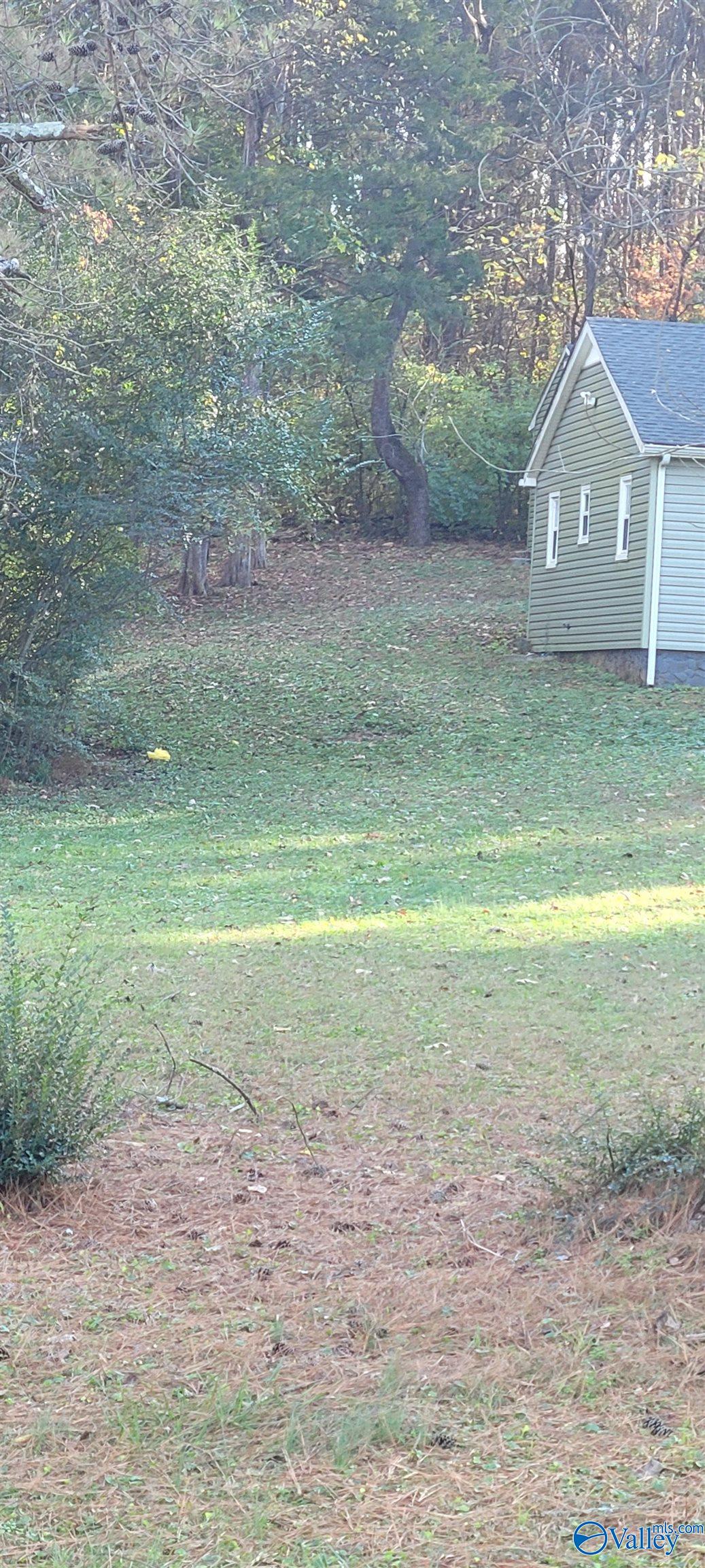 Stewart Stewart Road, Toney, Alabama image 6